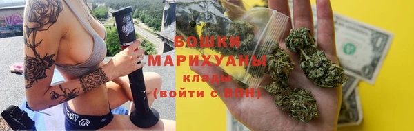 соль ск Алексин