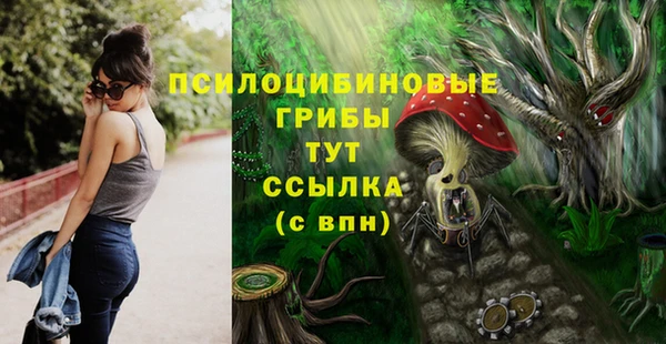 гидропоника Алексеевка