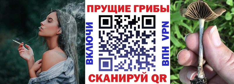 Галлюциногенные грибы мицелий  kraken вход  Нытва 